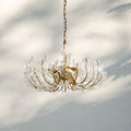 Adela 6/8 Lights Chandelier - lampmodern