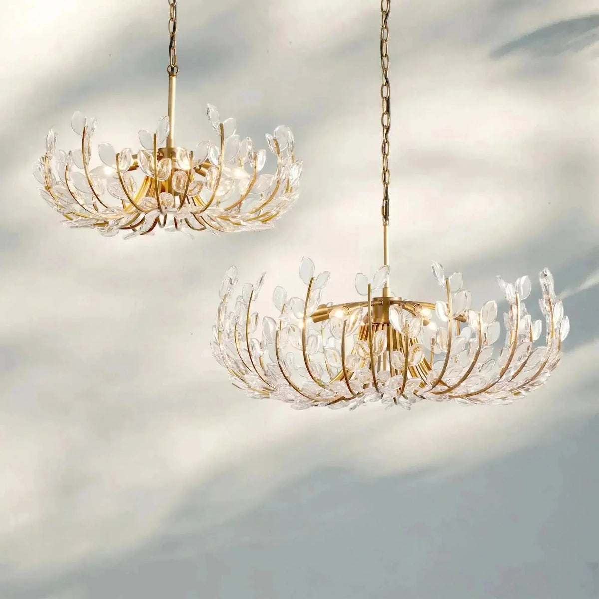 Adela 6/8 Lights Chandelier - lampmodern