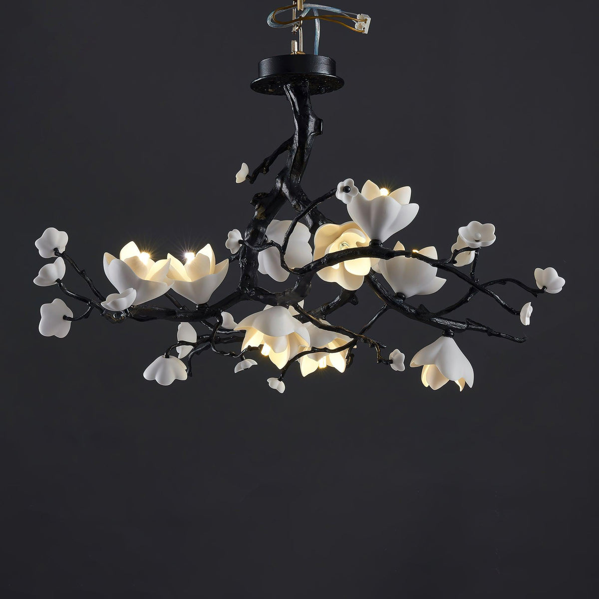 Black Branch Copper Tree Chandelier - ∅ 31.5″ x H 17.7″ / Dia 80cm x H 45cmDark Copperlampmodern