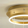 Butterfly Chandelierv Modern Metal Disk Acrylic Ceiling Light - lampmodern
