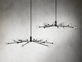 Sera Glass Globe Chandelier 36