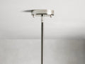 Sera Glass Globe Chandelier 36